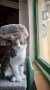 Rocco (1)3